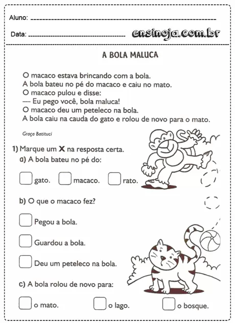 Atividade educativa sobre um macaco e um gato com uma bola.