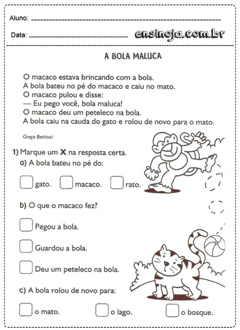 Atividade educativa sobre um macaco e um gato com uma bola.