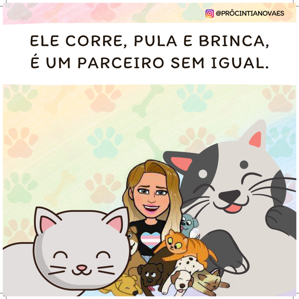 Ele corre, pula e brinca, é um parceiro sem igual.