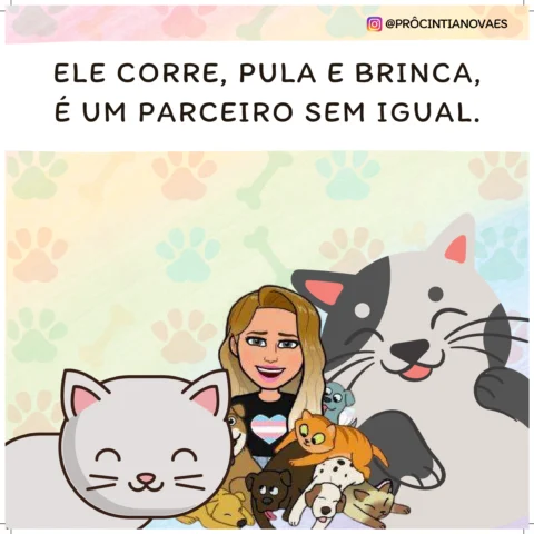 Ele corre, pula e brinca, é um parceiro sem igual.