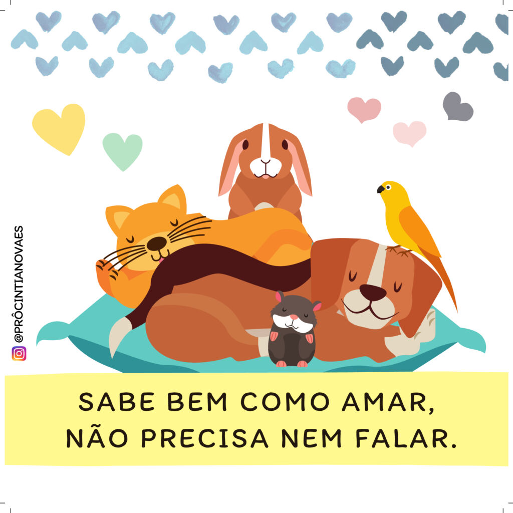 Sabe bem como amar, não precisa nem falar.