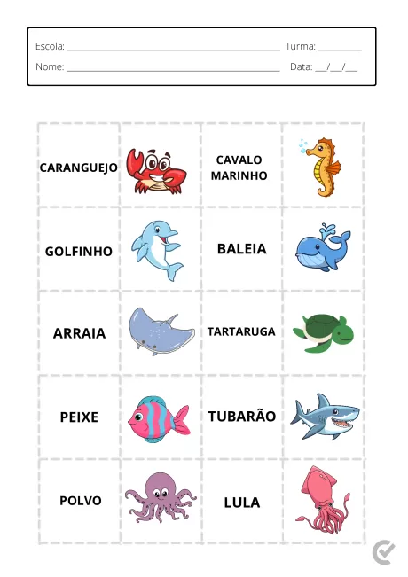 Ilustrações de animais marinhos, incluindo caranguejo, cavalo marinho, golfinho, baleia, arraia, tartaruga, peixe, tubarão, polvo e lula.