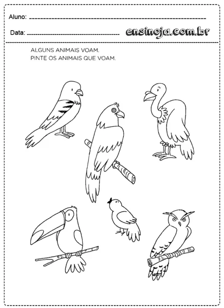 Desenhos de animais que voam para colorir.