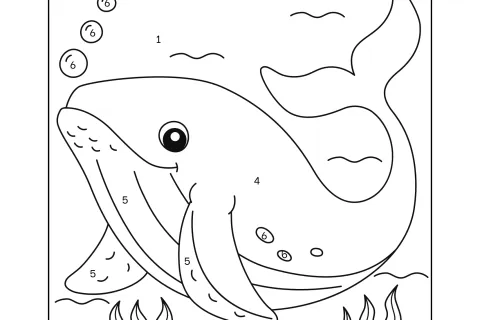 Desenho para colorir de um animal marinho, com números indicando as cores a serem usadas.
