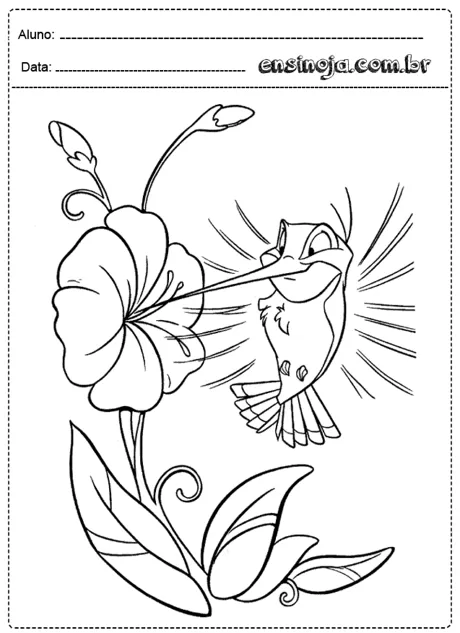 Desenho de um beija-flor se alimentando de uma flor.