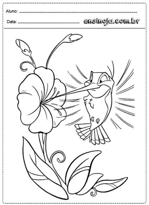 Desenho de um beija-flor se alimentando de uma flor.
