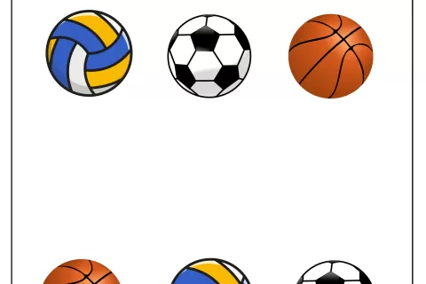 Seis bolas de diferentes esportes: vôlei, futebol e basquete.