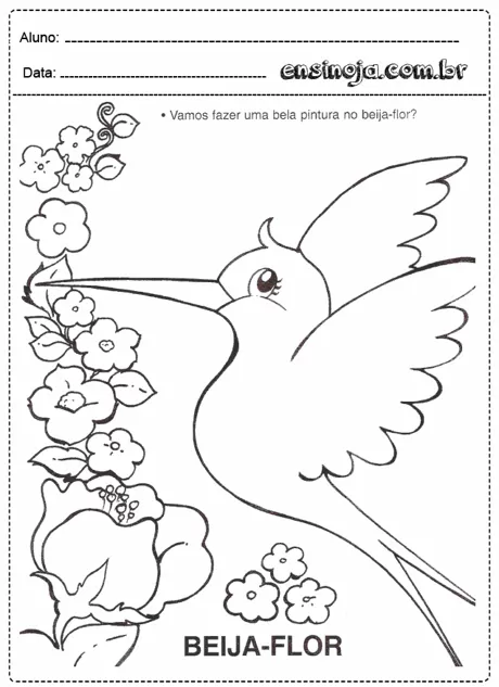 Desenho de um beija-flor com flores ao redor para pintura.