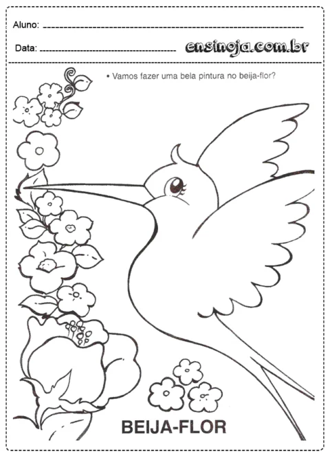 Desenho de um beija-flor com flores ao redor para pintura.