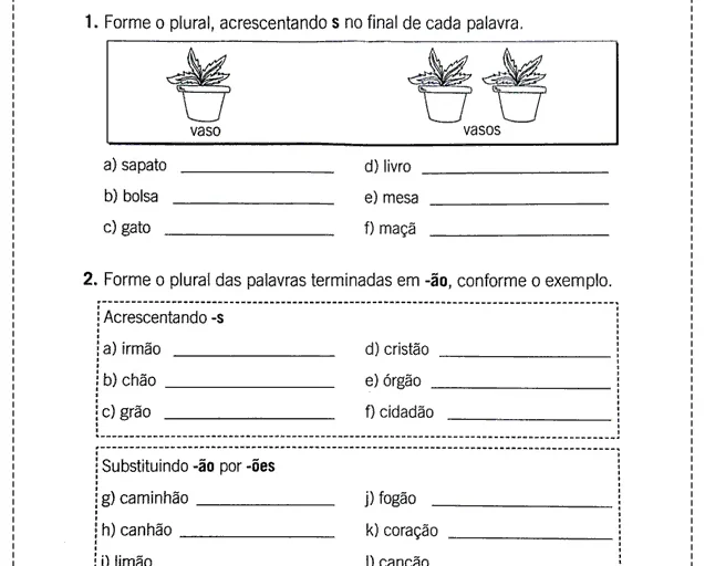 Atividade sobre singular e plural com exemplos de palavras.