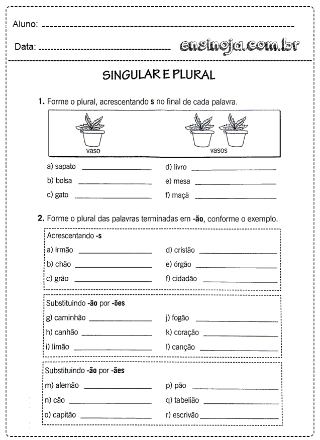 Atividade sobre singular e plural com exemplos de palavras.