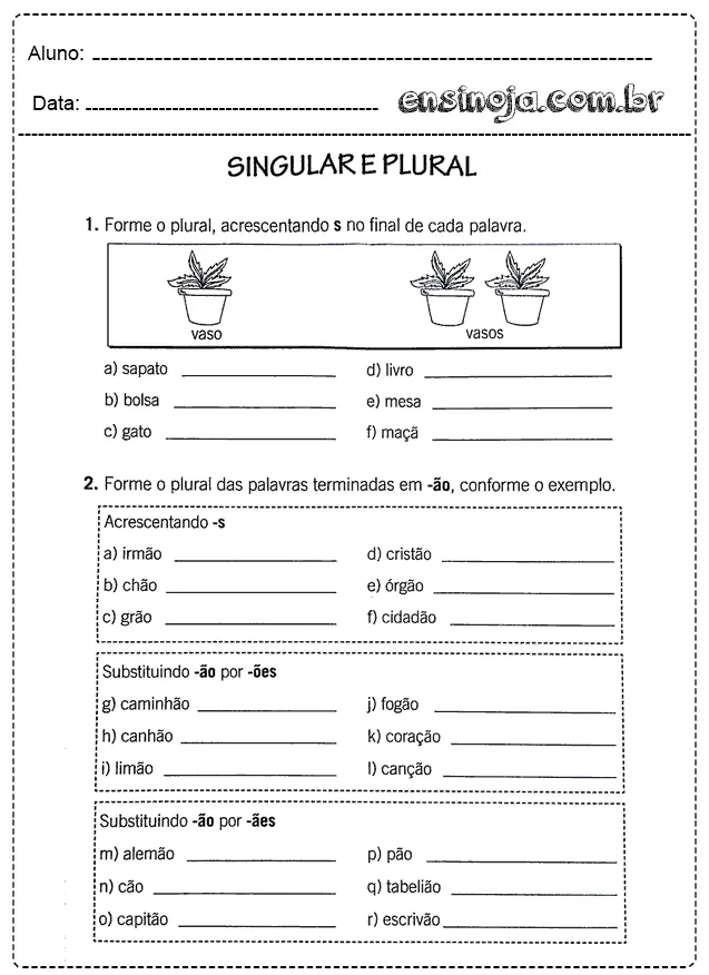 Atividade sobre singular e plural com exemplos de palavras.