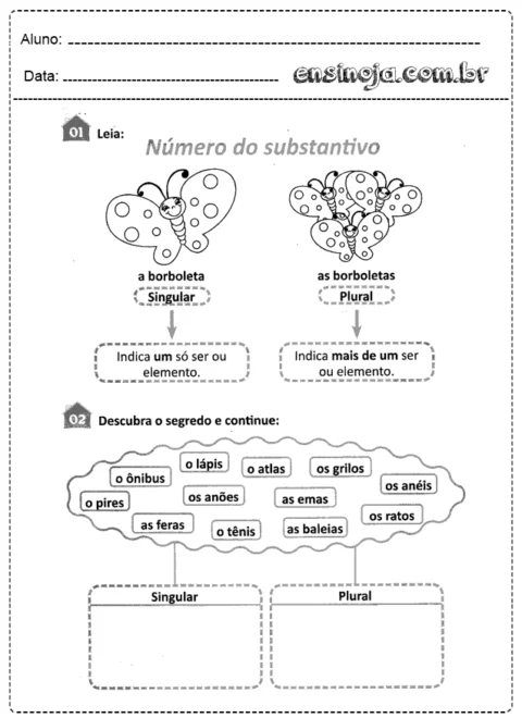 Atividade sobre número do substantivo com borboletas e exemplos de palavras no singular e plural.