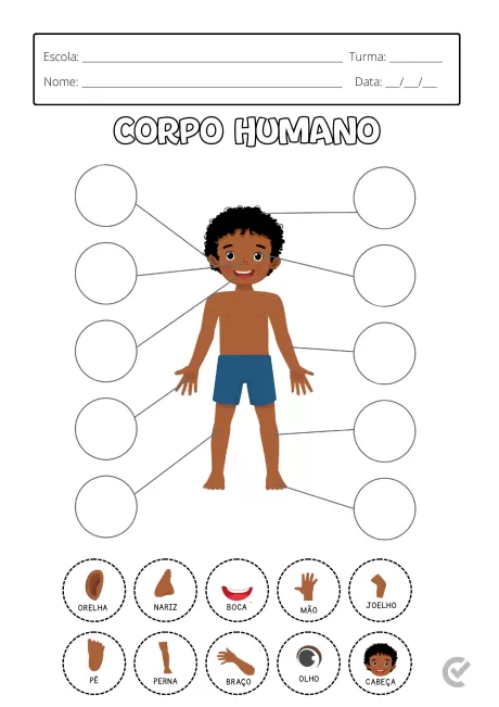 Desenho de uma criança com partes do corpo destacadas para identificação.