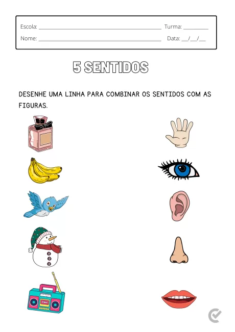 Atividade escolar com figuras representando os 5 sentidos: olfato, visão, audição, paladar e tato.