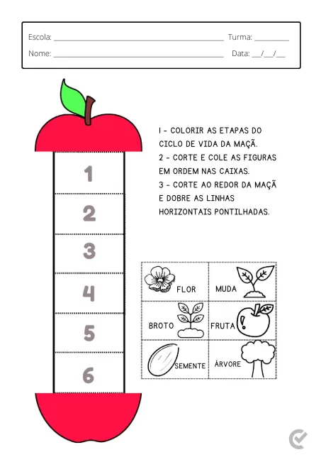 Imagem de uma atividade escolar com uma maçã e etapas do ciclo de vida, incluindo figuras para recortar e colar.