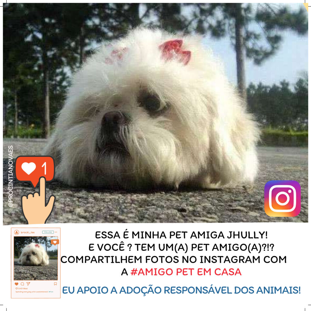 Essa é minha pet amiga Jhully! E você? Tem um(a) pet amigo(a)?! Compartilhem fotos no Instagram com a #AmigoPetEmCasa. Eu apoio a adoção responsável dos animais!