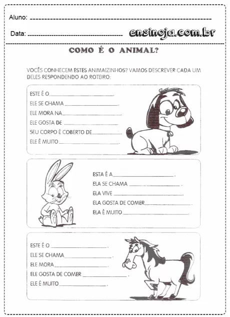 Atividade sobre animais para crianças, com espaços para descrever características de um cachorro, um coelho e um cavalo.