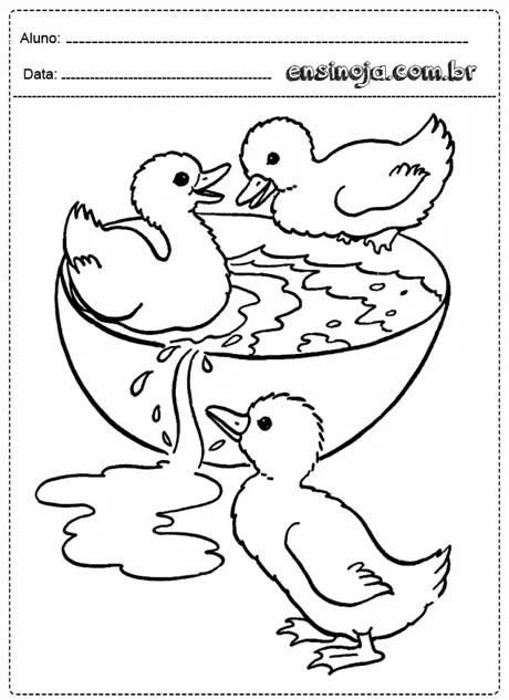 Desenho para colorir de patinhos em uma tigela com água.