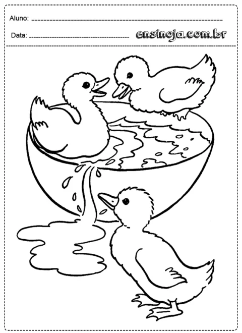 Desenho para colorir de patinhos em uma tigela com água.