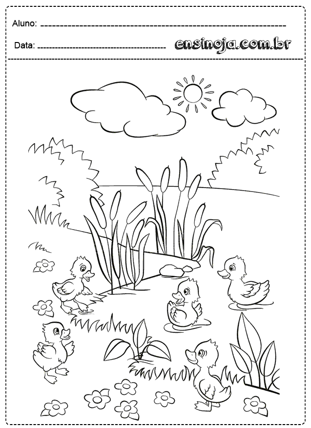 Desenho para colorir de patinhos em um lago com flores e nuvens.