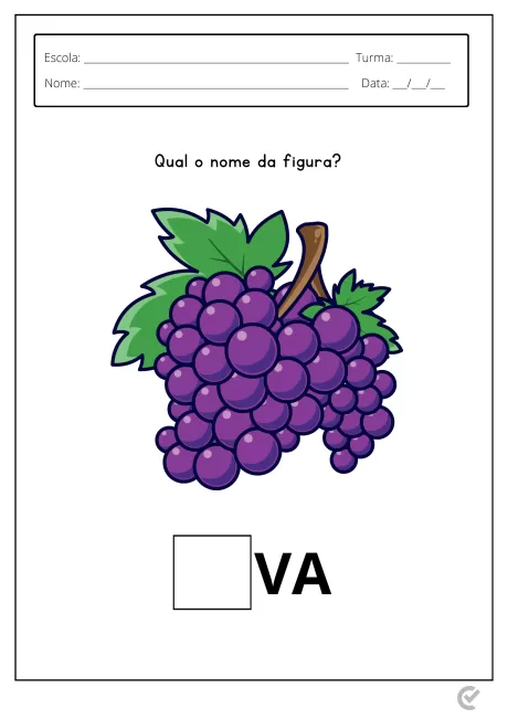 Ilustração de um cacho de uvas roxas com folhas verdes.