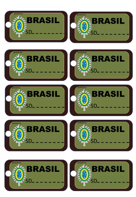 Conjunto de etiquetas de identificação com o texto 'BRASIL' e espaço para preenchimento.