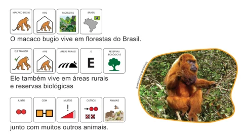 Macaco bugio sentado em uma árvore, rodeado por folhas verdes.