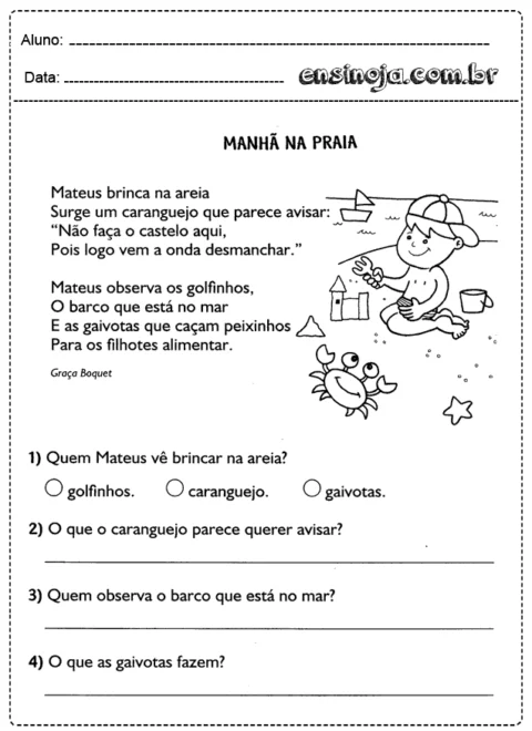 Criança brincando na areia da praia com um caranguejo e observando golfinhos e gaivotas.