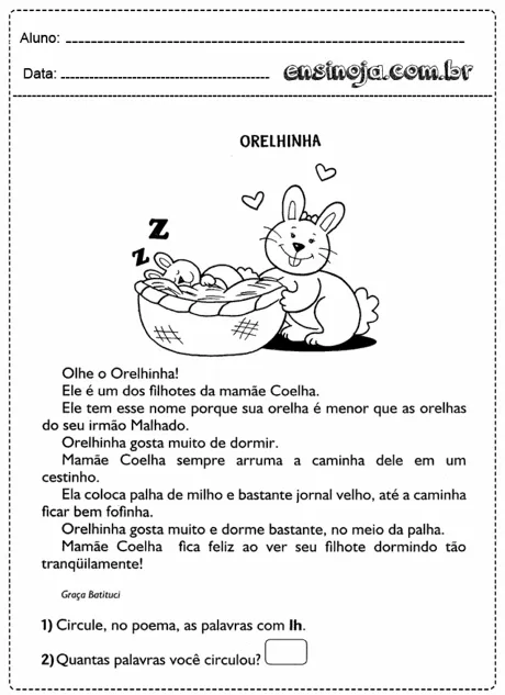 Desenho de um coelho chamado Orelhinha dormindo em um cesto com outros coelhos.