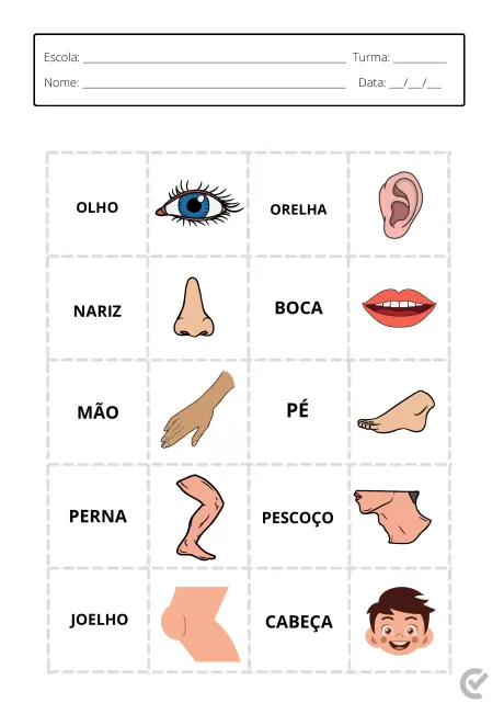Ilustração das partes do corpo humano, incluindo olho, orelha, nariz, boca, mão, pé, perna, pescoço, joelho e cabeça.