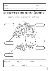 Desenho de uma árvore com partes identificáveis para atividade escolar.