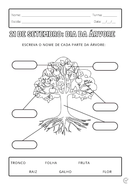 Desenho de uma árvore com partes identificáveis para atividade escolar.