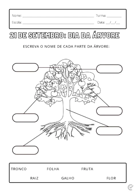 Desenho de uma árvore com partes identificáveis para atividade escolar.