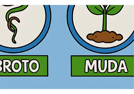 Ilustração mostrando as etapas do ciclo de vida das plantas: broto e muda.
