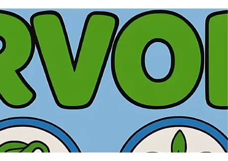 Texto em letras grandes e verdes sobre um fundo azul.