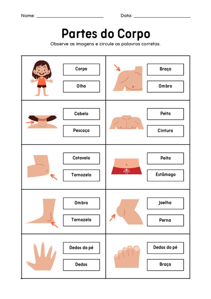 Atividades de Ciências 1º ano em PDF para imprimir — p2 | Atividades Educação Infantil (ensinoja.com.br)