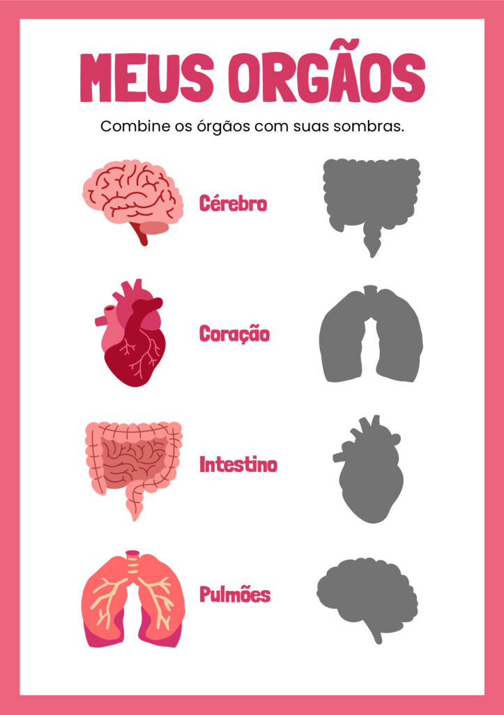 Atividades de Ciências 1º ano em PDF para imprimir — p5 | Atividades Educação Infantil (ensinoja.com.br)