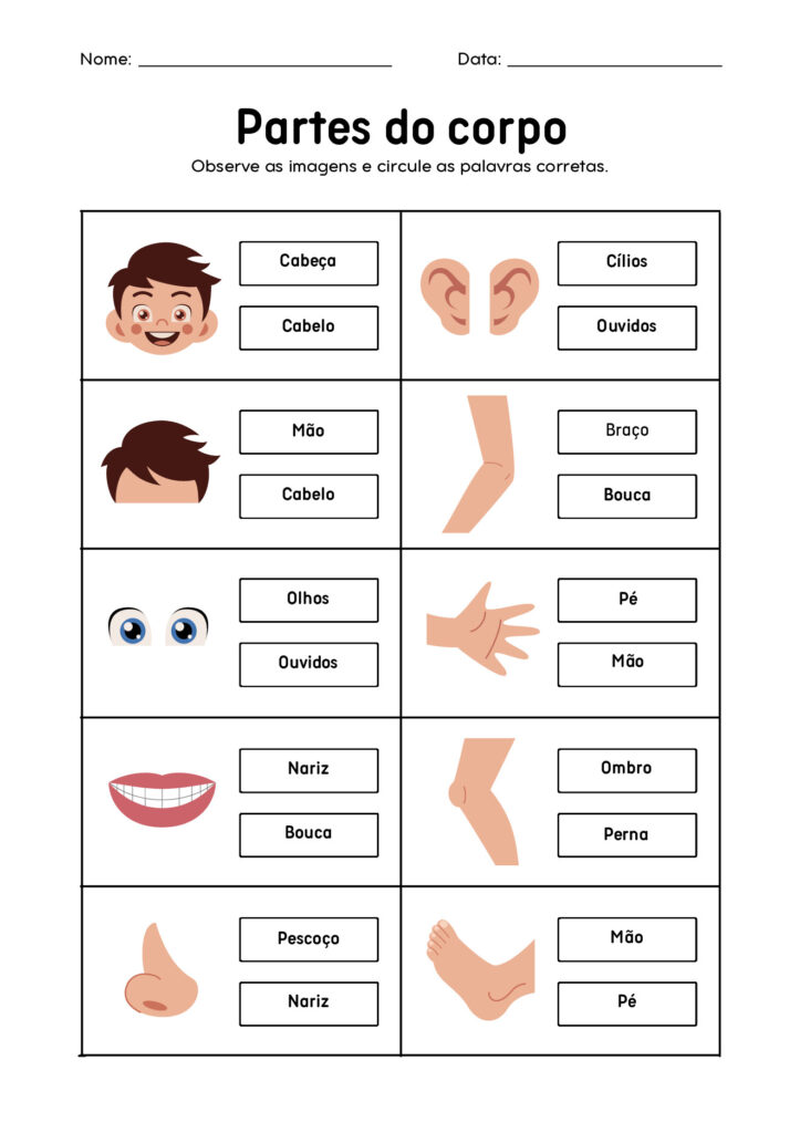 Atividades de Ciências 1º ano em PDF para imprimir — p10 | Atividades Educação Infantil (ensinoja.com.br)