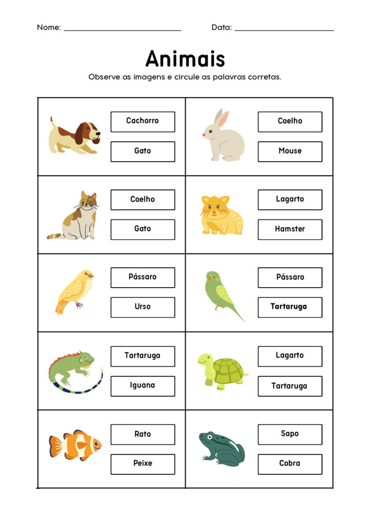 Atividades de Ciências 1º ano em PDF para imprimir — p11 | Atividades Educação Infantil (ensinoja.com.br)