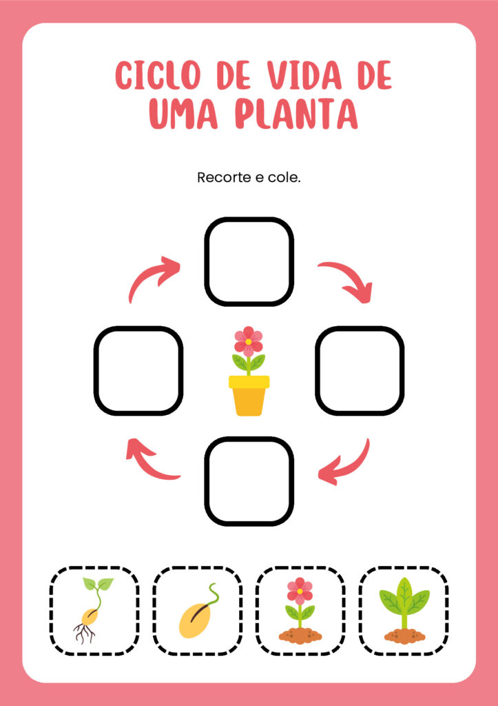 Atividades de Ciências 1º ano em PDF para imprimir — p13 | Atividades Educação Infantil (ensinoja.com.br)