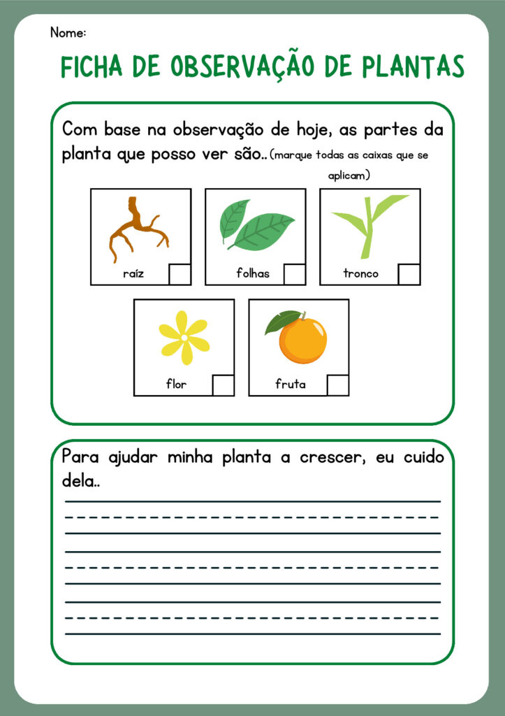 Atividades de Ciências 1º ano em PDF para imprimir — p16 | Atividades Educação Infantil (ensinoja.com.br)