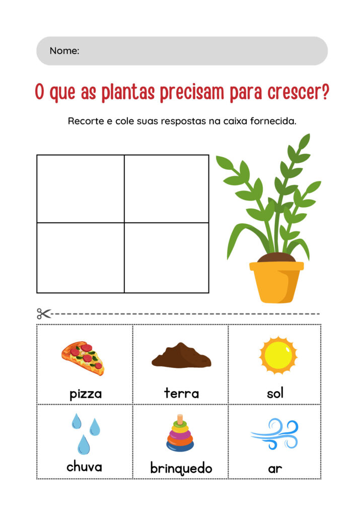Atividades de Ciências 1º ano em PDF para imprimir — p25 | Atividades Educação Infantil (ensinoja.com.br)
