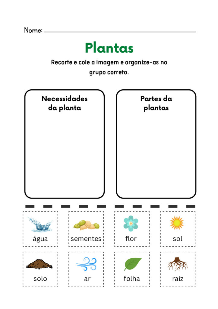 Atividades de Ciências 1º ano em PDF para imprimir — p26 | Atividades Educação Infantil (ensinoja.com.br)