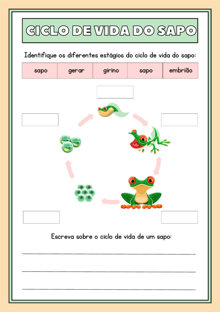 Atividades de Ciências 1º ano em PDF para imprimir — p29 | Atividades Educação Infantil (ensinoja.com.br)