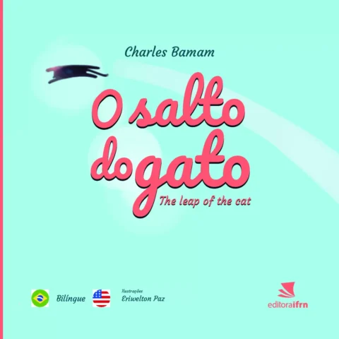 O salto do gato: uma história encantadora — p1
