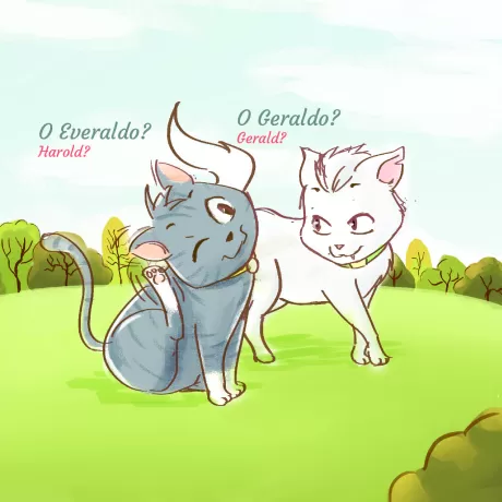 O salto do gato: uma história encantadora — p10