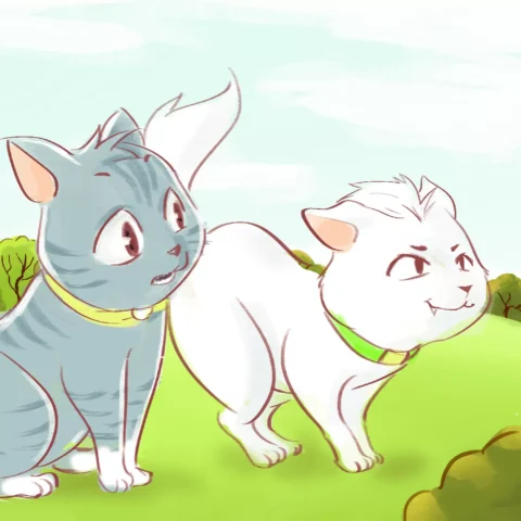 O salto do gato: uma história encantadora — p12