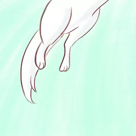 O salto do gato: uma história encantadora — p14