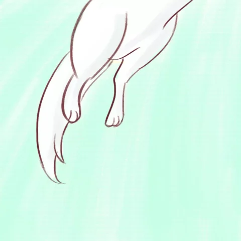 O salto do gato: uma história encantadora — p14